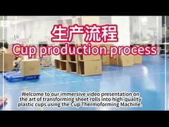 آلة التشكيل الحراري البلاستيكي PLC مع 750 * 500mm مساحة تشكيل